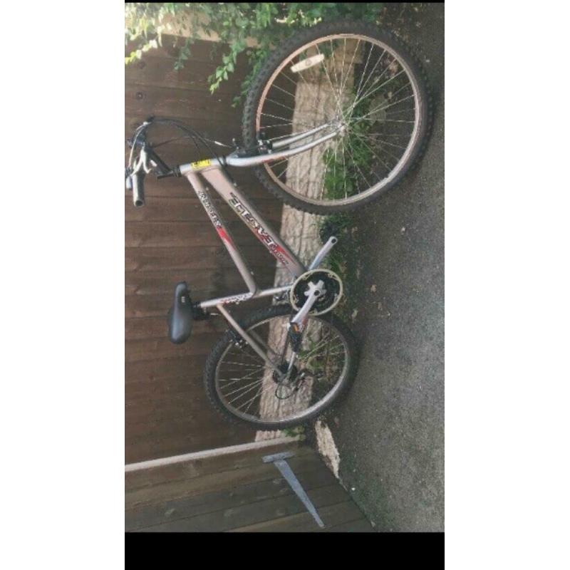 Ladies mountain bike