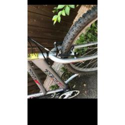 Ladies mountain bike