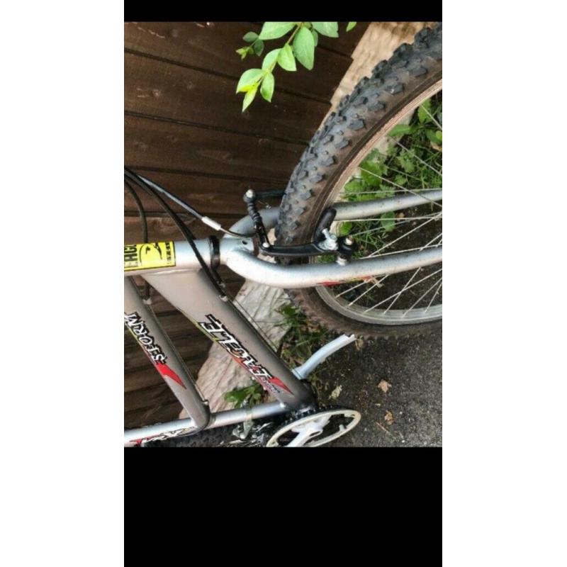 Ladies mountain bike