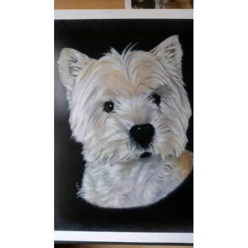 West Highland Terrier "WESTIE" print
