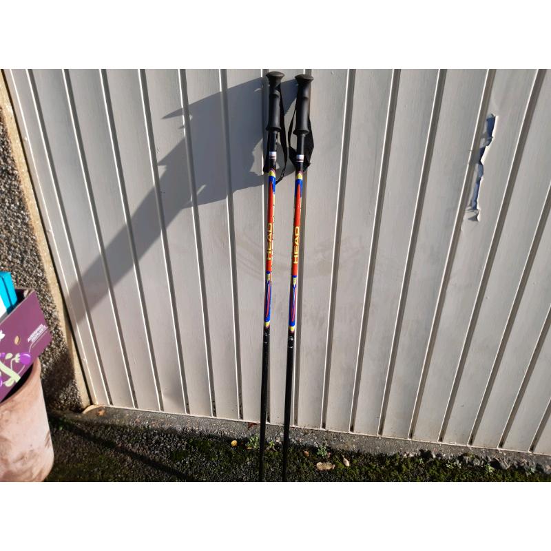 Head Ski Poles / Walking Sticks