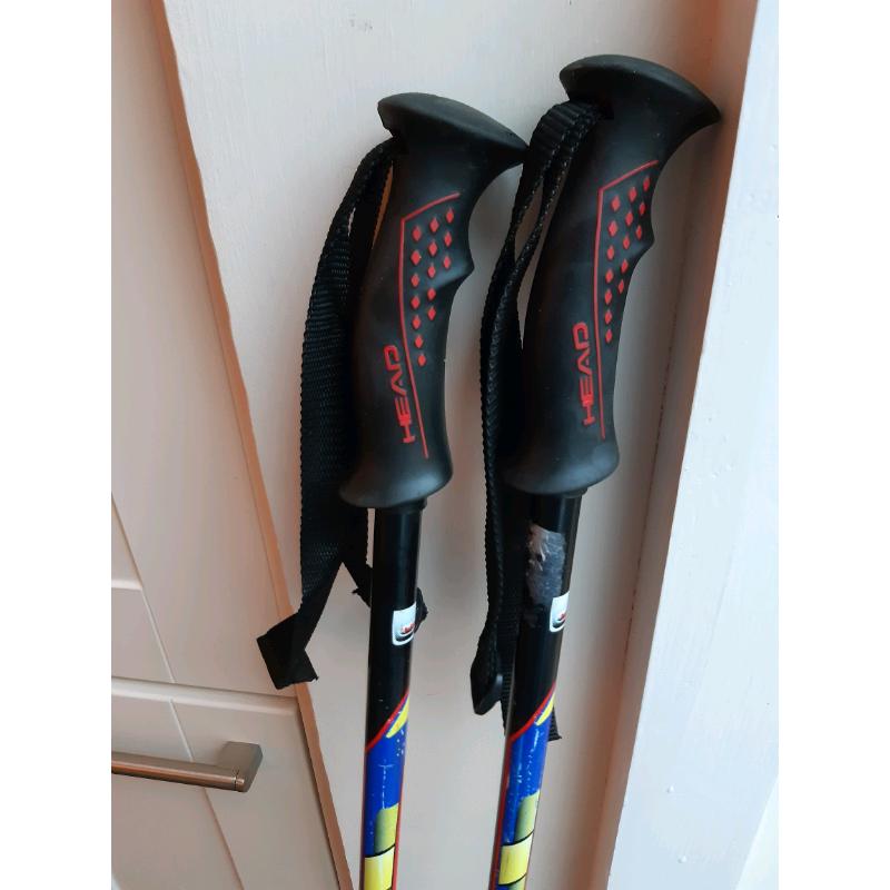 Head Ski Poles / Walking Sticks