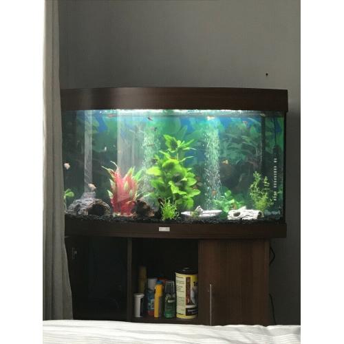 Fish tank 180l full setup