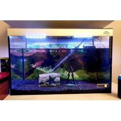 Fish tank with extras