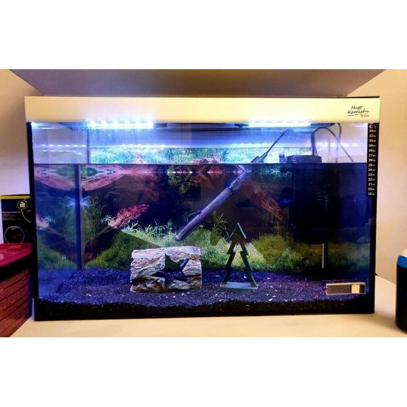 Fish tank with extras