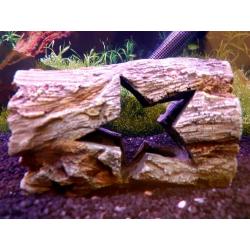 Fish tank with extras