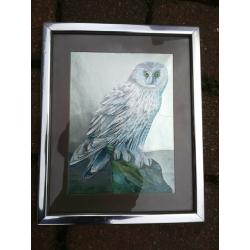 Owl Picture In Frame