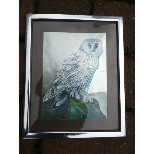 Owl Picture In Frame