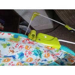 Vibrating Baby bouncer