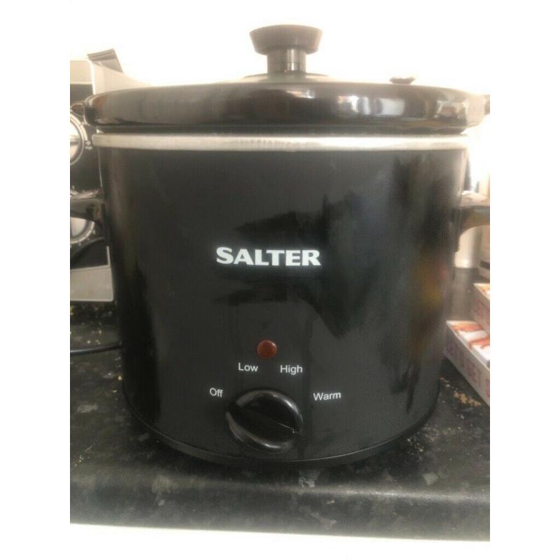 Salter slow cooker